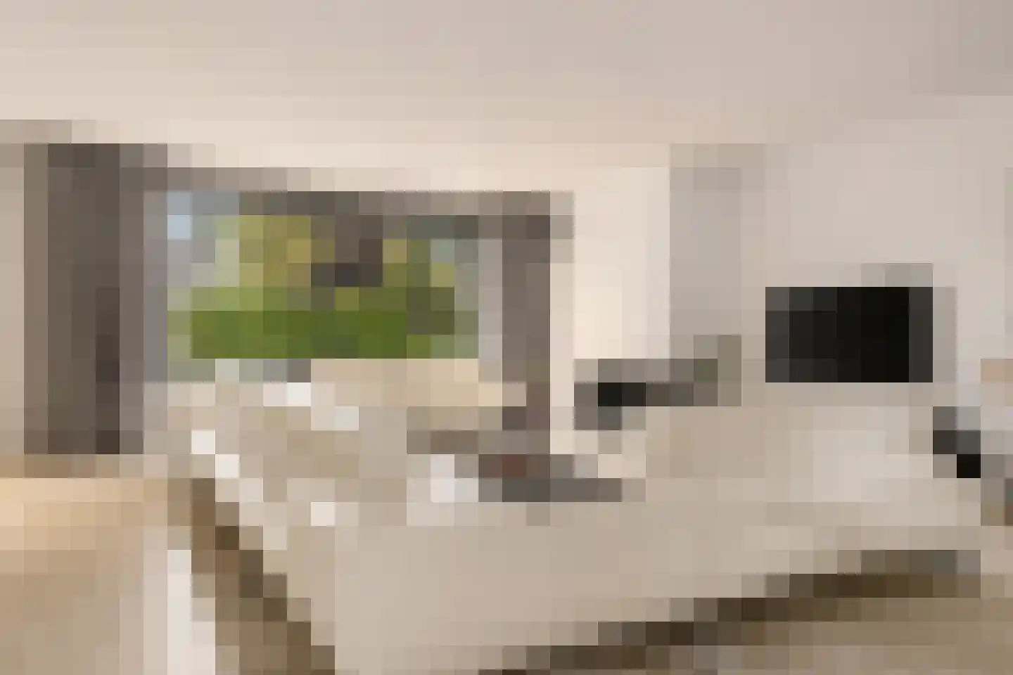 Prins Constantijnlaan 1 Waalre thumbnail 8