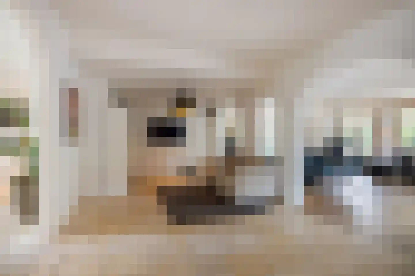 Prins Constantijnlaan 13 Waalre thumbnail 10