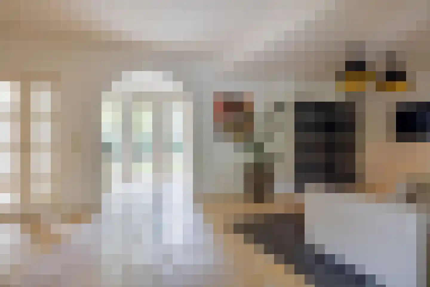 Prins Constantijnlaan 13 Waalre thumbnail 11
