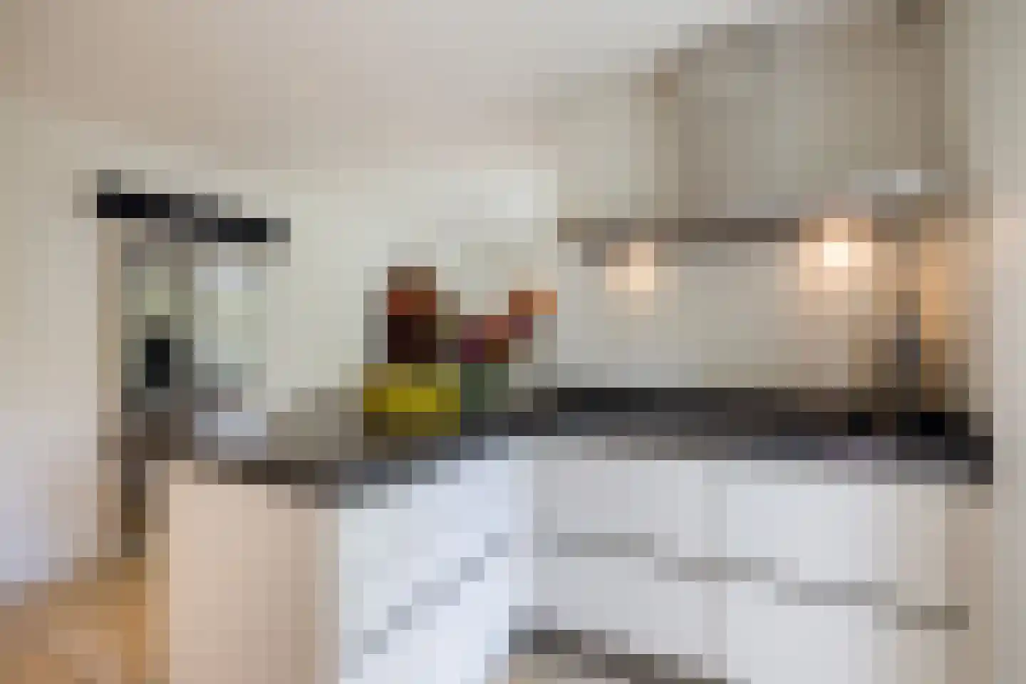Prins Constantijnlaan 13 Waalre thumbnail 13