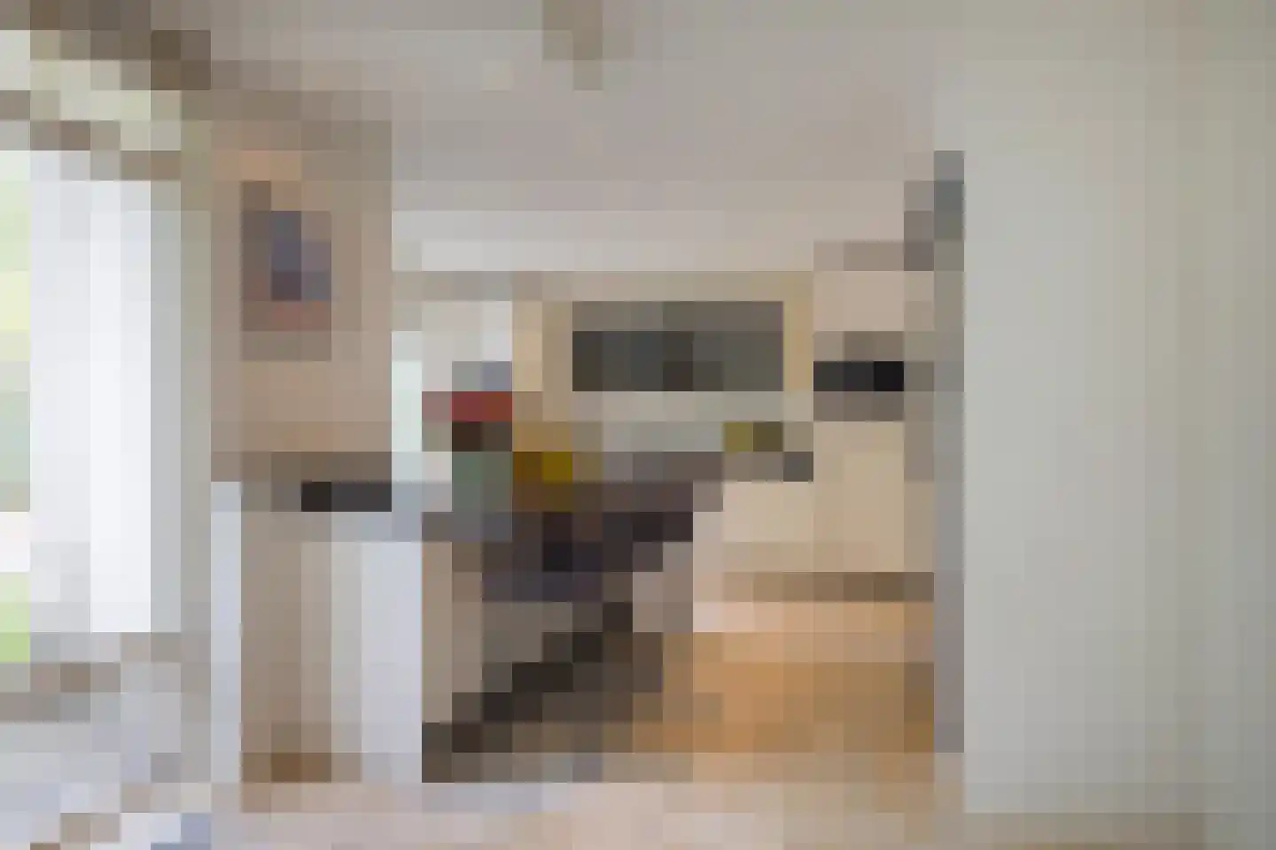 Prins Constantijnlaan 13 Waalre thumbnail 14