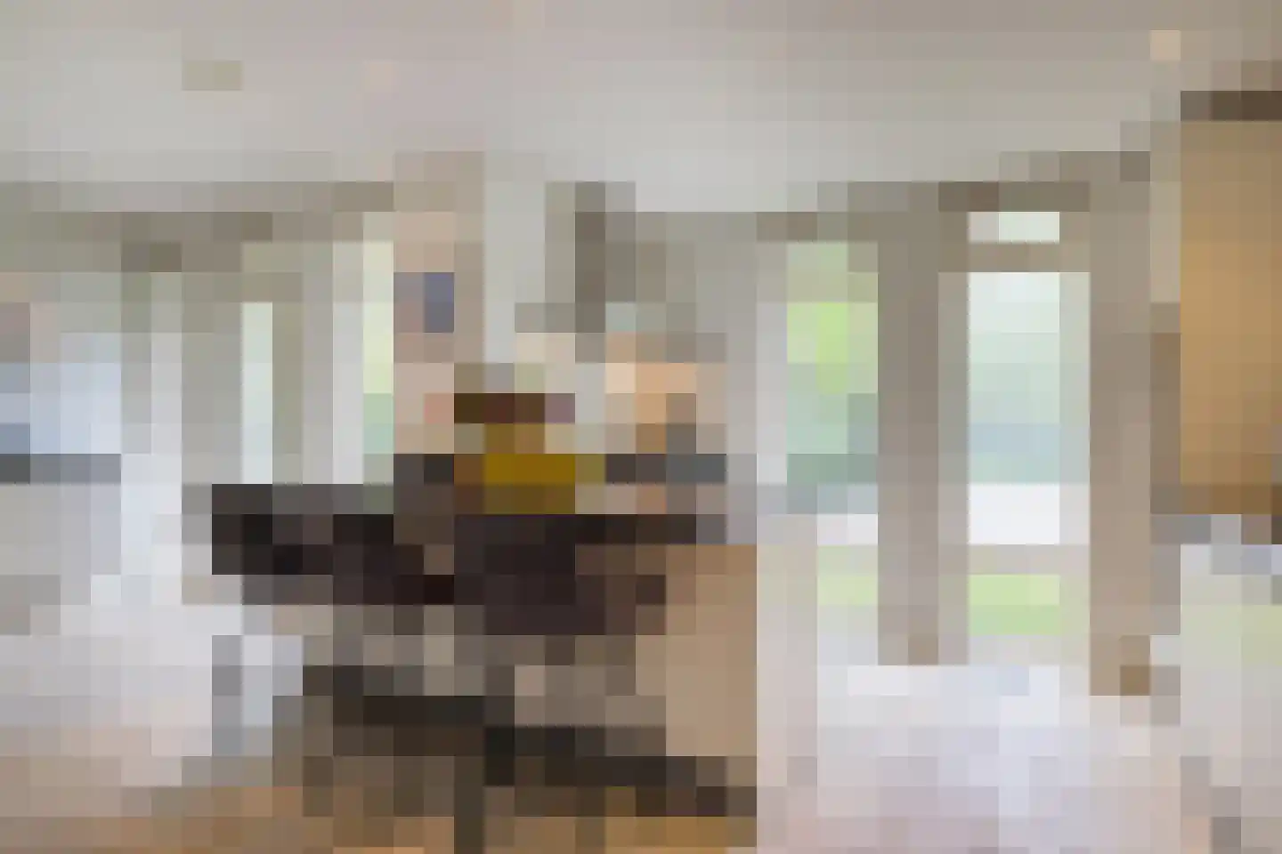 Prins Constantijnlaan 13 Waalre thumbnail 17