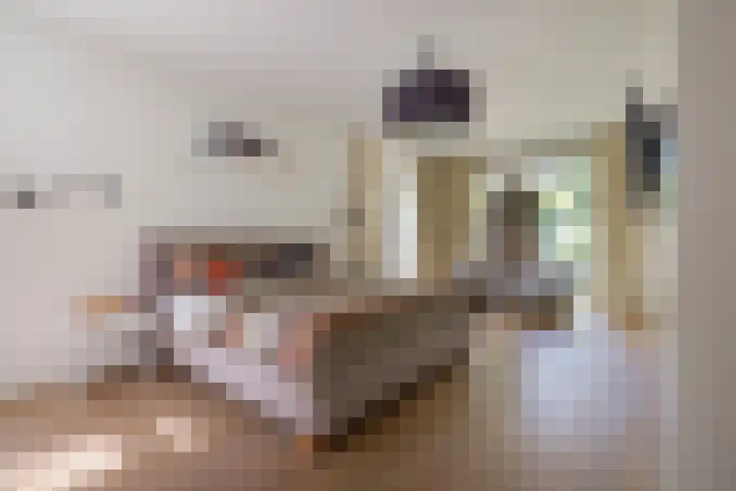 Prins Constantijnlaan 13 Waalre thumbnail 19