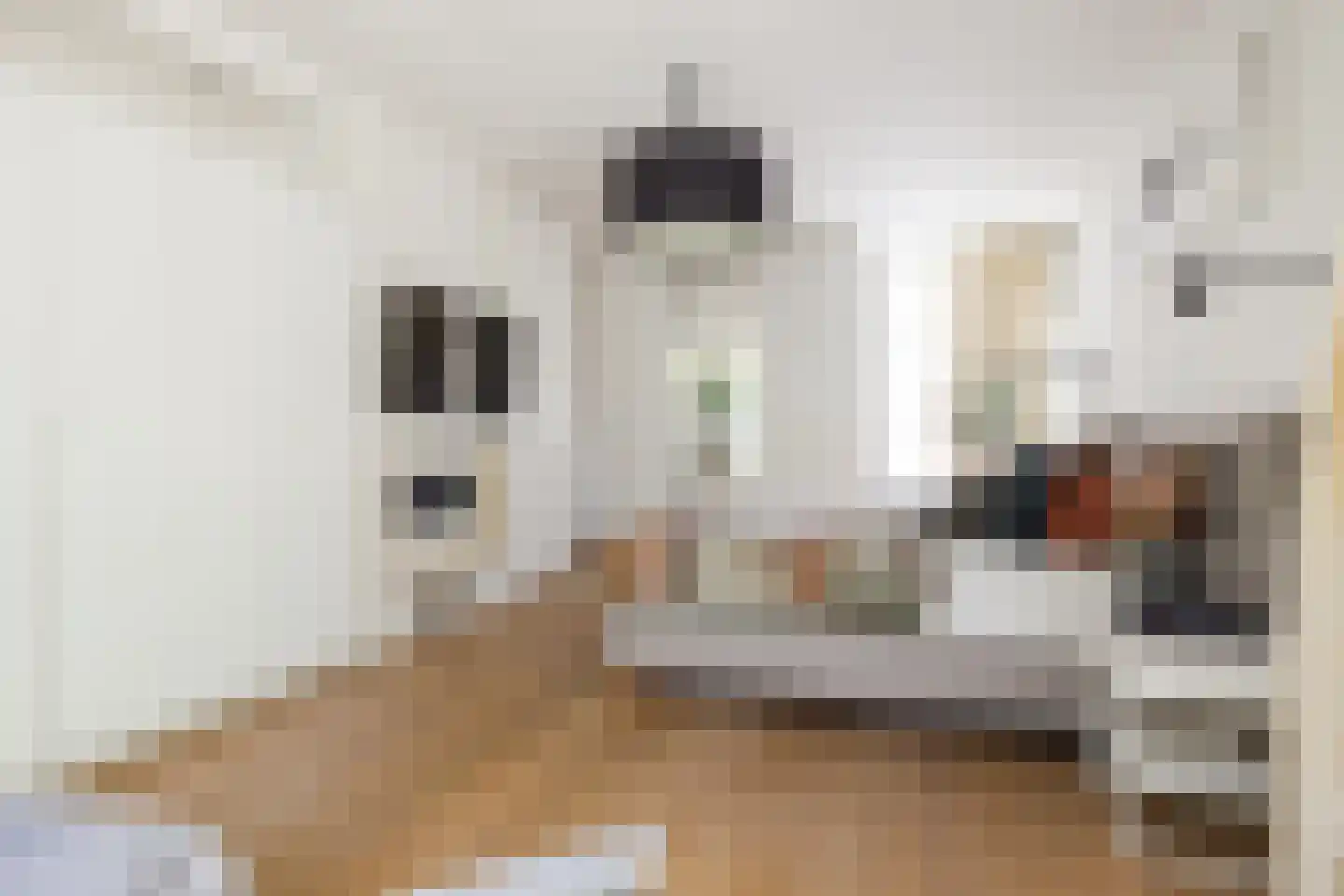Prins Constantijnlaan 13 Waalre thumbnail 20