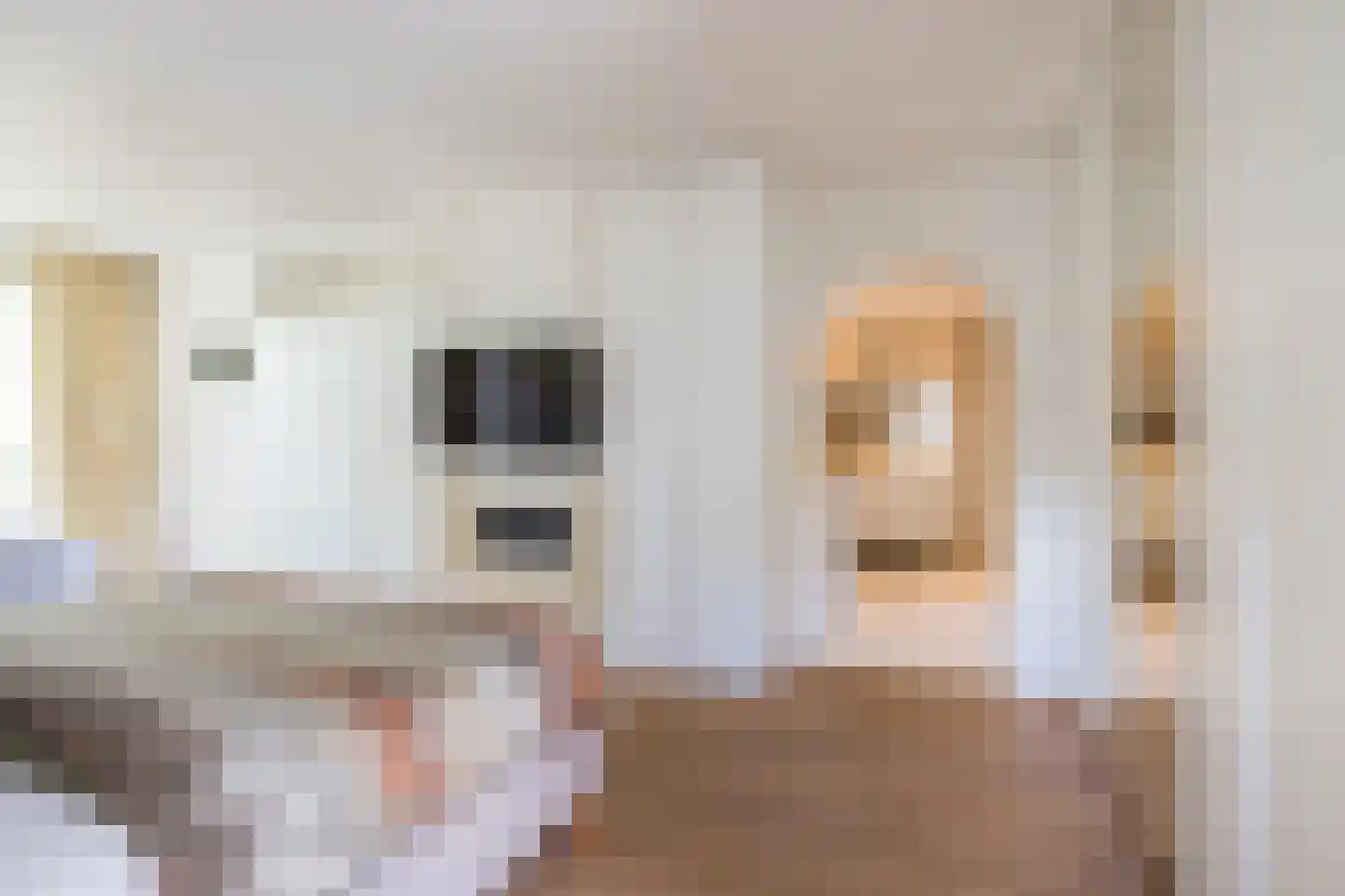Prins Constantijnlaan 13 Waalre thumbnail 21