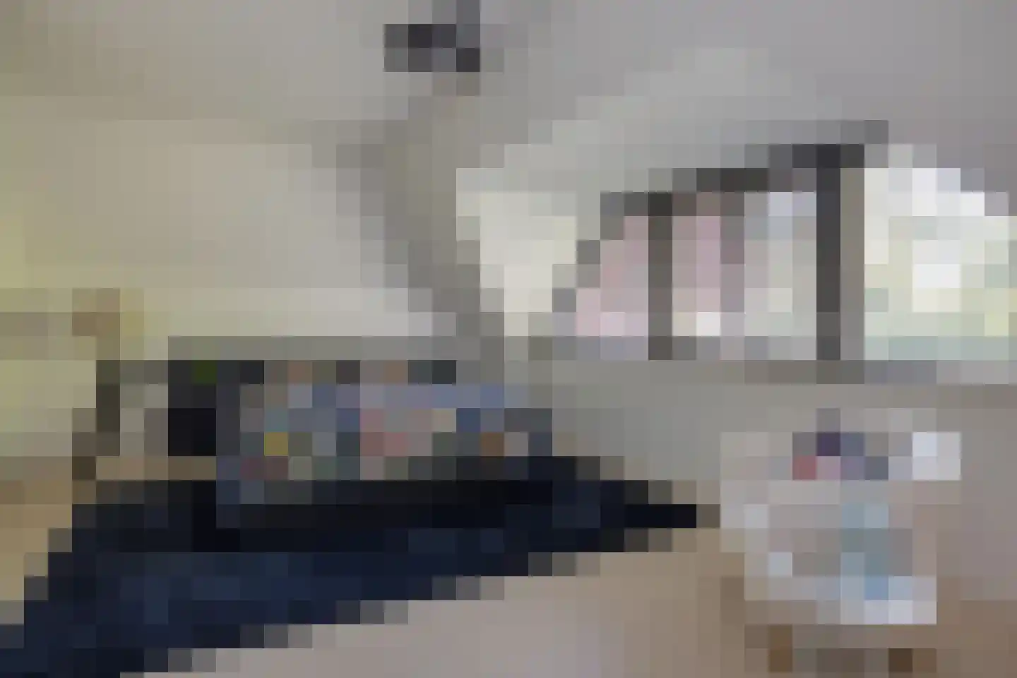 Prins Constantijnlaan 13 Waalre thumbnail 26