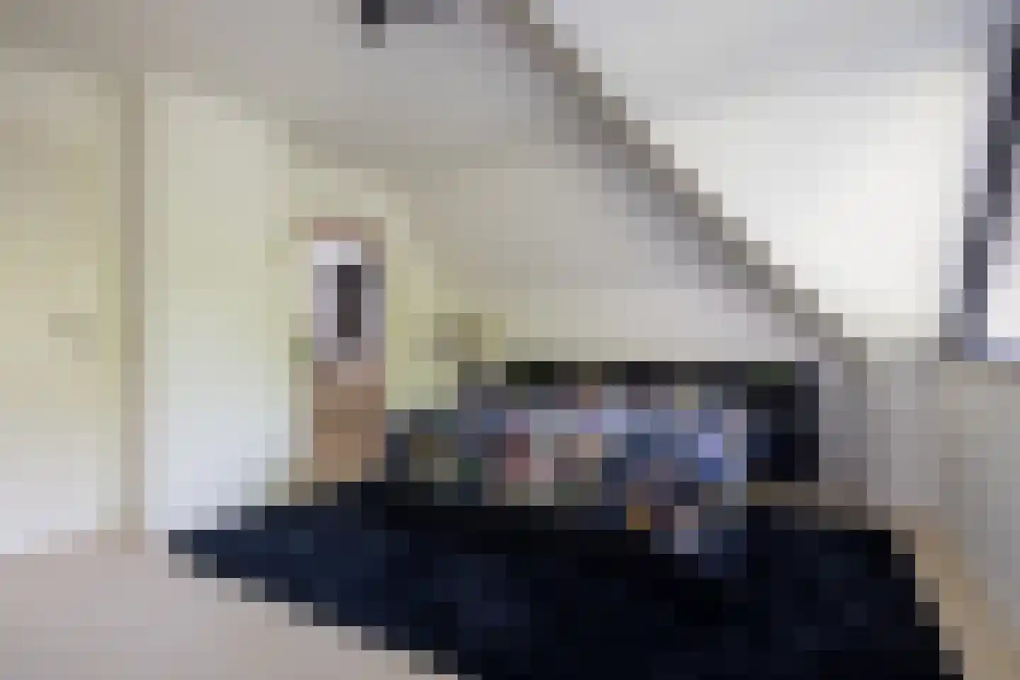 Prins Constantijnlaan 13 Waalre thumbnail 27