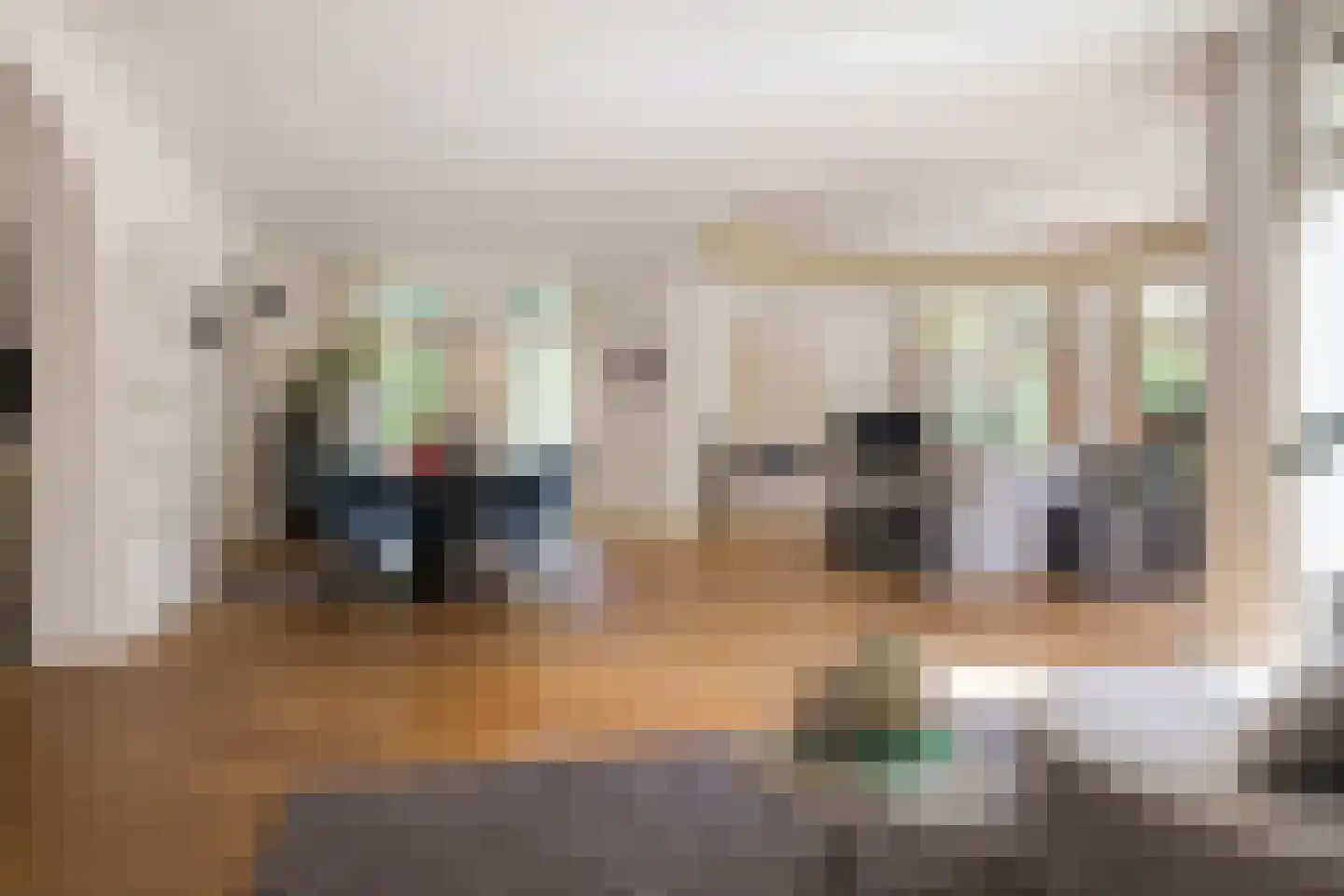 Prins Constantijnlaan 13 Waalre foto 3