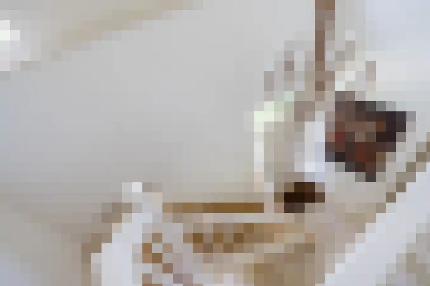 Prins Constantijnlaan 13 Waalre thumbnail 36