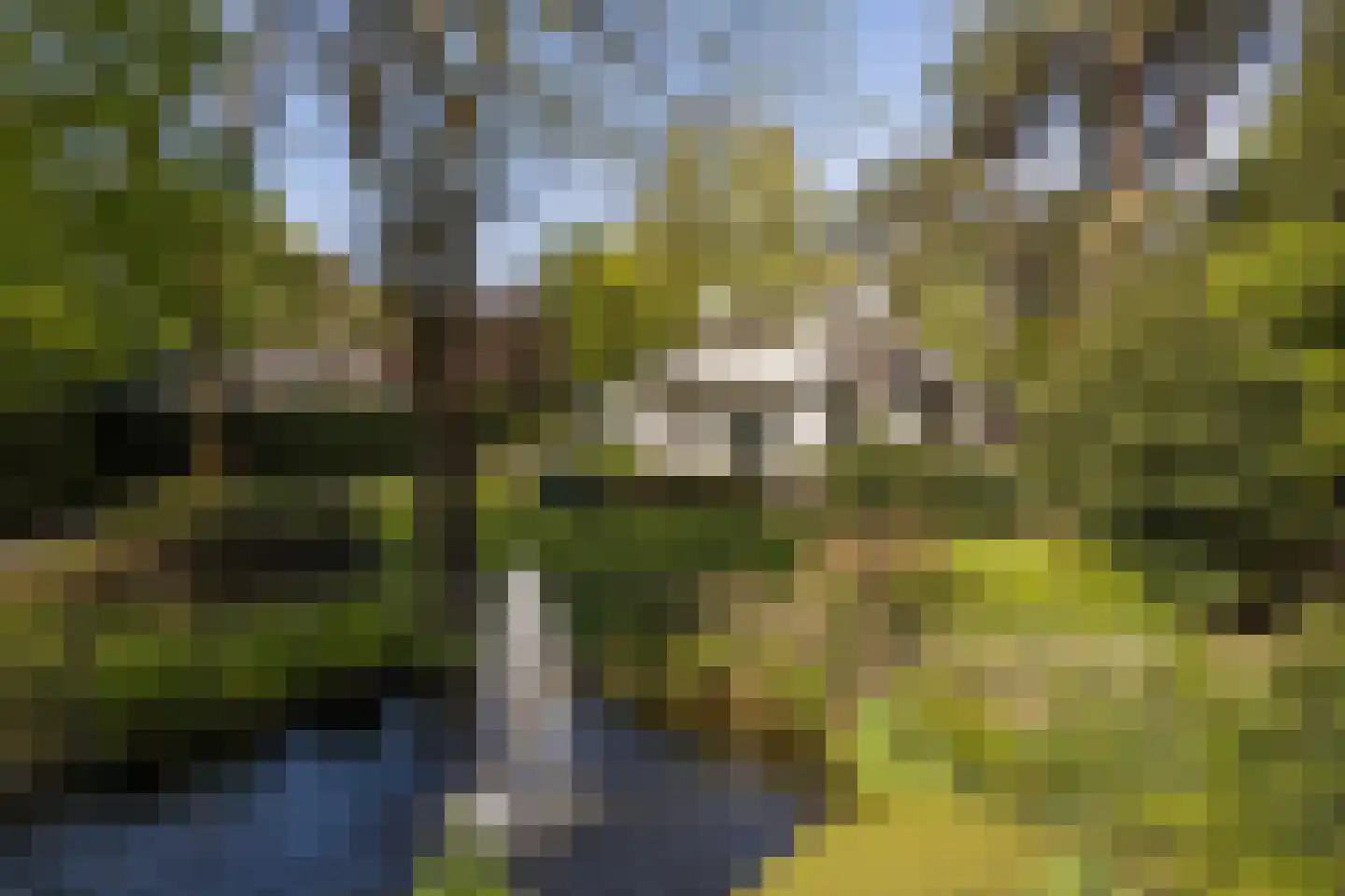 Prins Constantijnlaan 13 Waalre thumbnail 40