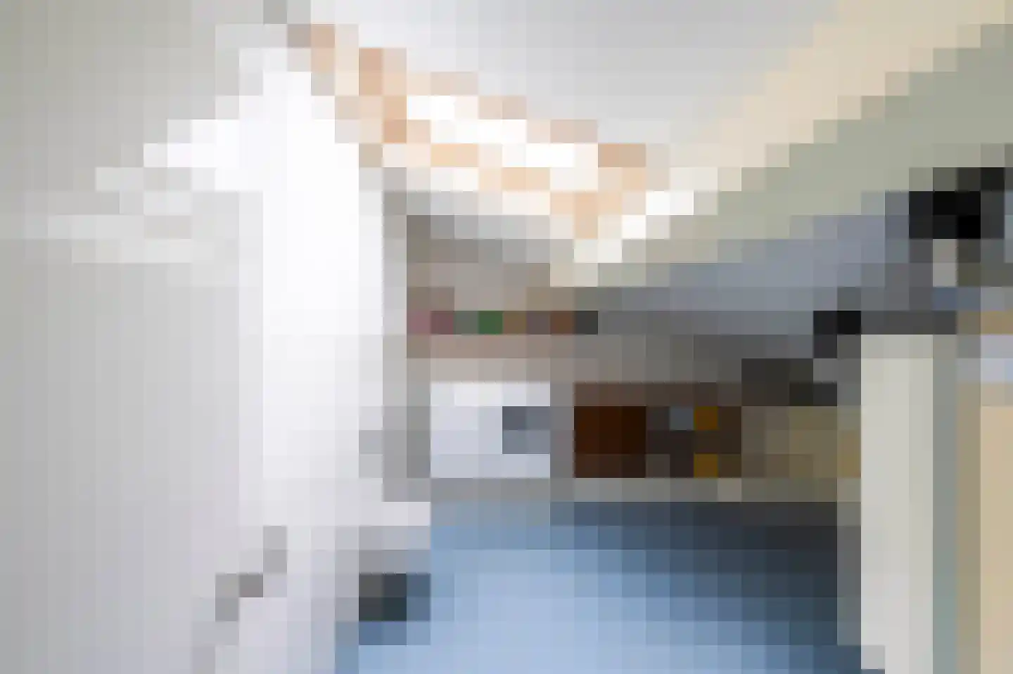Prins Constantijnlaan 19 Amersfoort thumbnail 44