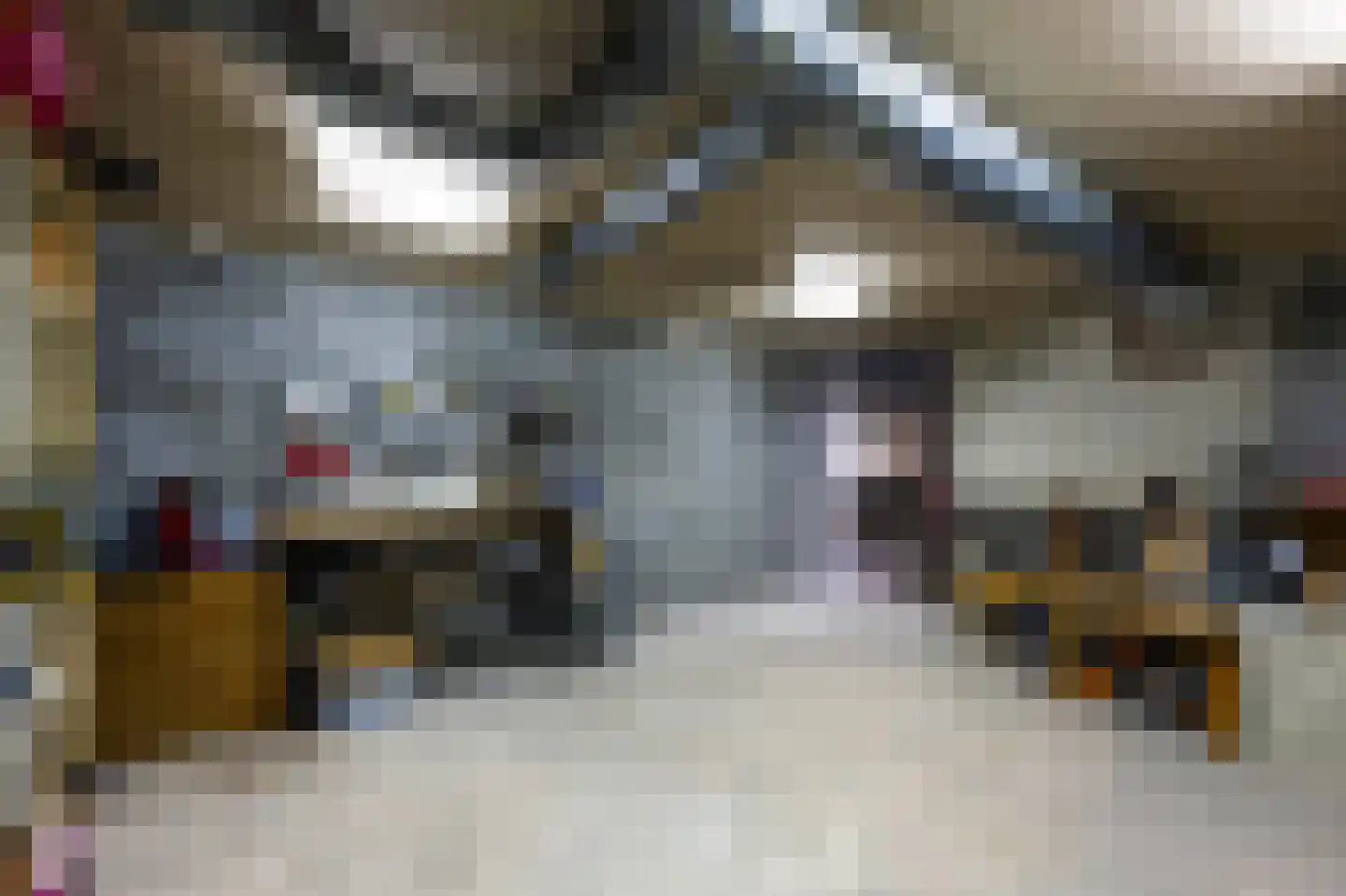 Prins Constantijnlaan 19 Amersfoort thumbnail 47