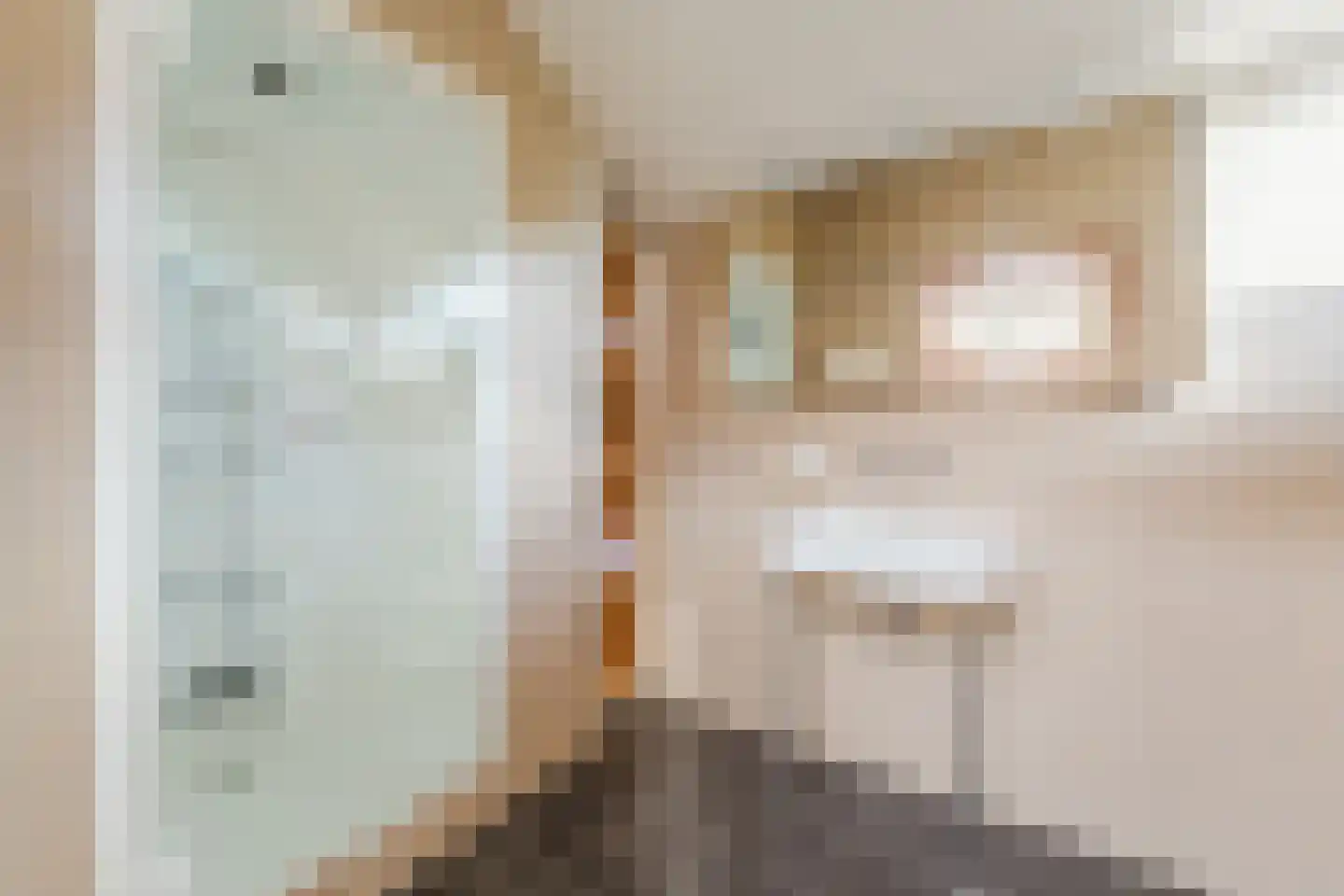 Prins Constantijnlaan 21 Amersfoort thumbnail 34