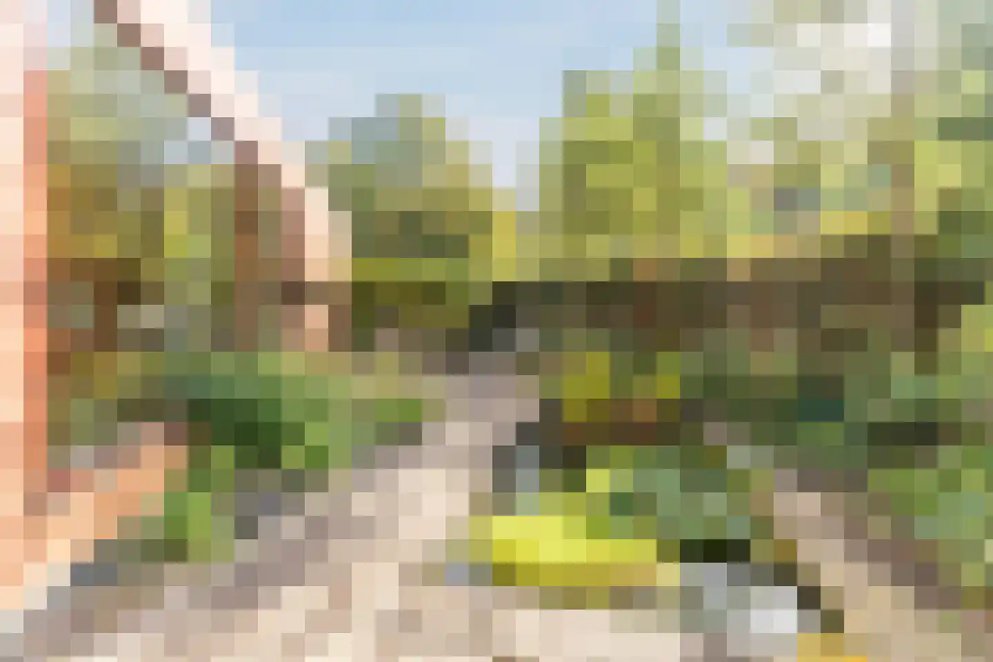 Prins Constantijnlaan 21 Amersfoort thumbnail 42