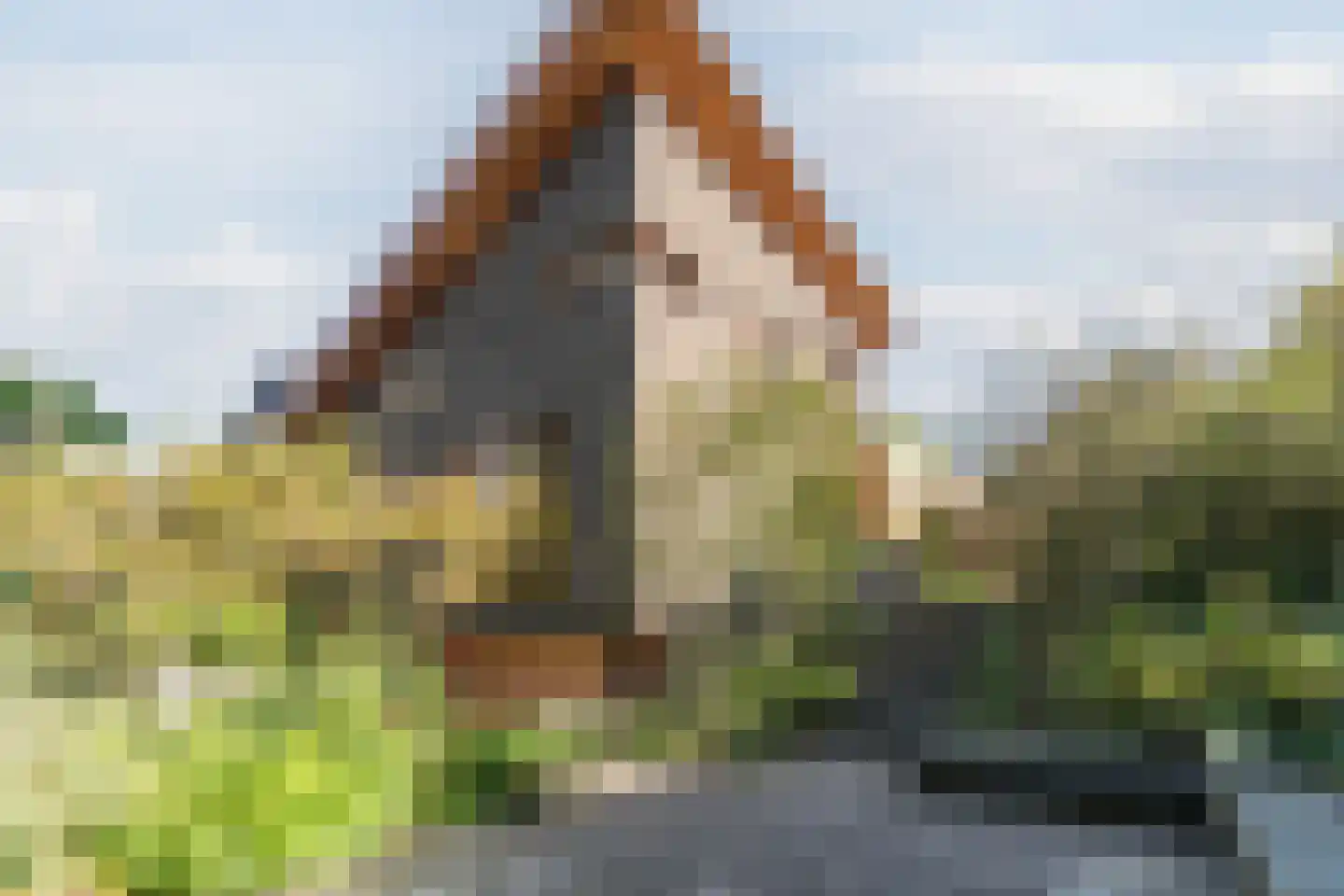 Prins Constantijnlaan 21 Amersfoort thumbnail 44