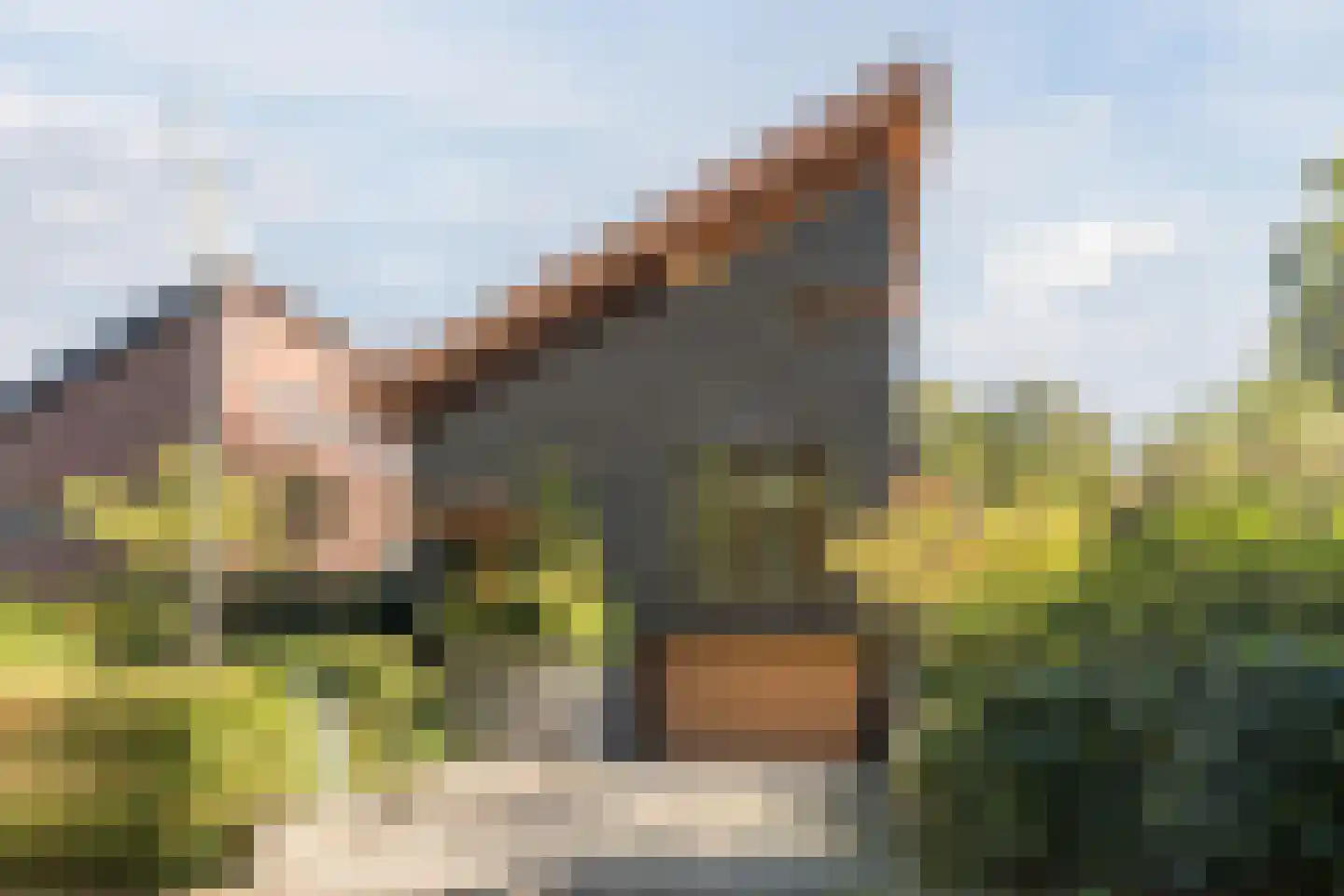 Prins Constantijnlaan 21 Amersfoort thumbnail 47