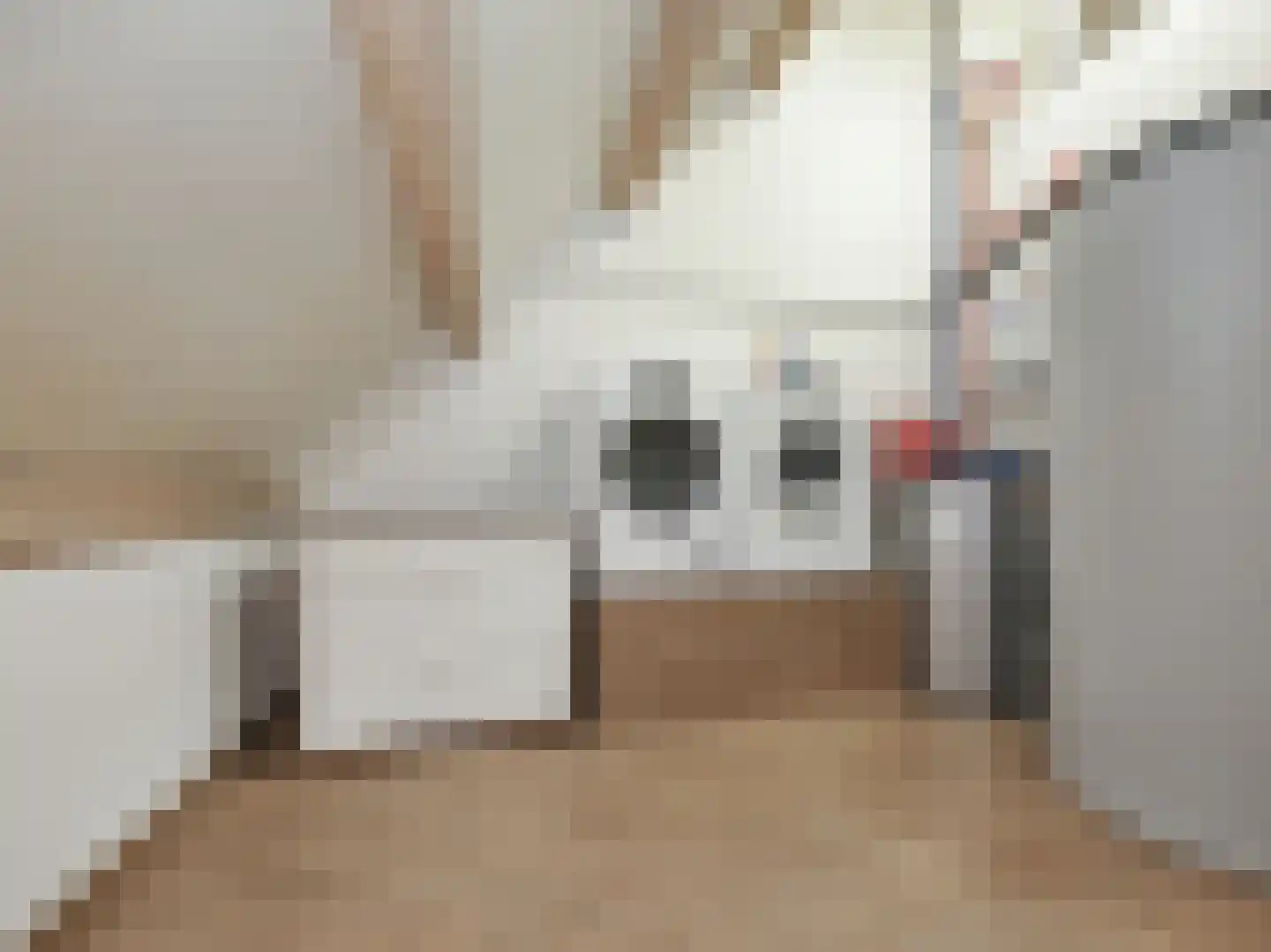 Prins Constantijnlaan 7 Badhoevedorp thumbnail 35