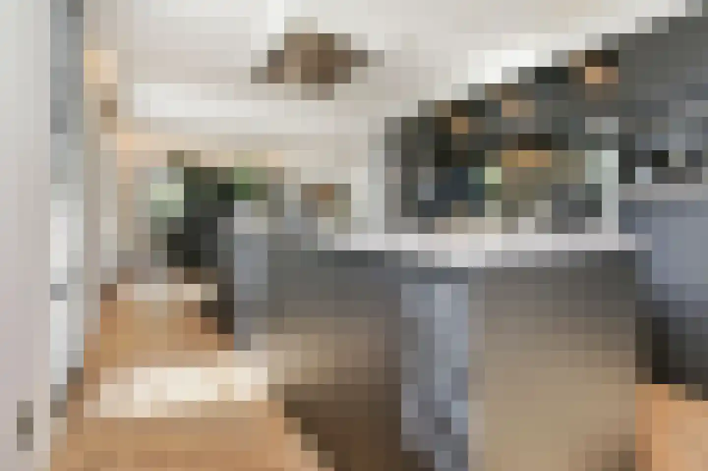 Prins Constantijnlaan 7 Badhoevedorp thumbnail 5