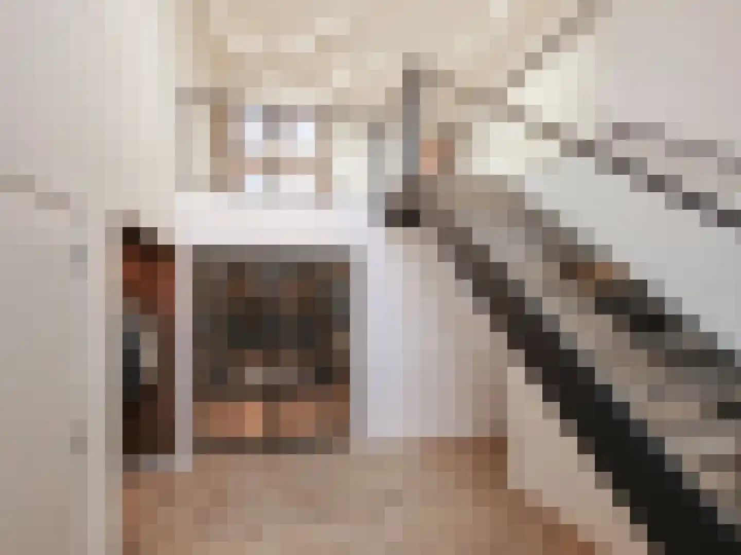 Prins Constantijnlaan 7 Badhoevedorp thumbnail 7