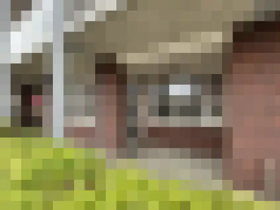Prins Constantijnlaan 8 Sint-Maartensdijk thumbnail 6
