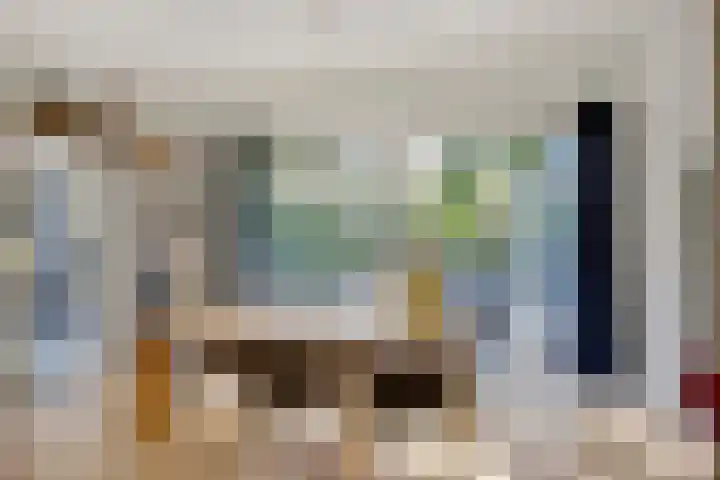 Prins Constantijnlaan 8 't Harde thumbnail 11