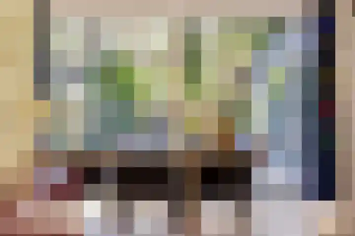 Prins Constantijnlaan 8 't Harde thumbnail 12