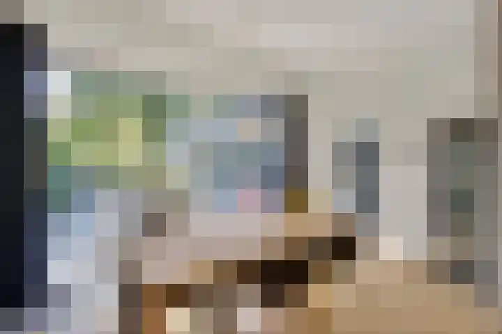 Prins Constantijnlaan 8 't Harde thumbnail 13