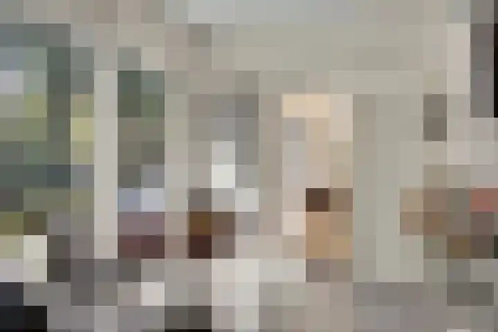 Prins Constantijnlaan 8 't Harde thumbnail 22