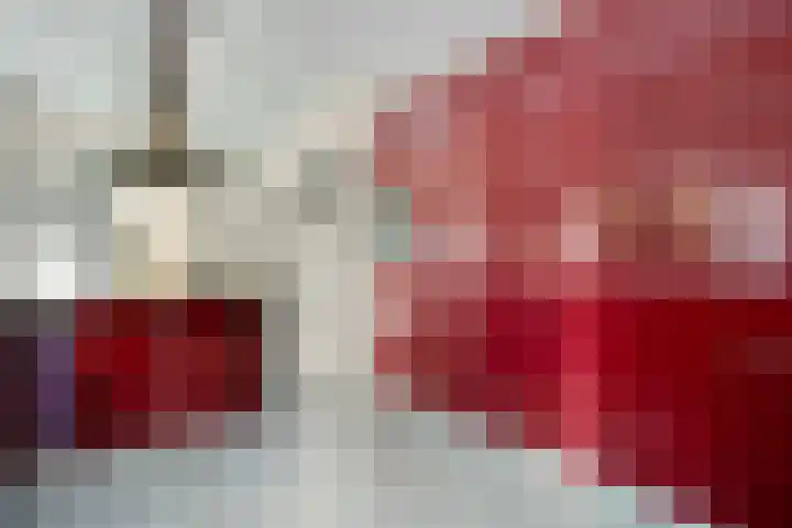 Prins Constantijnlaan 8 't Harde thumbnail 25