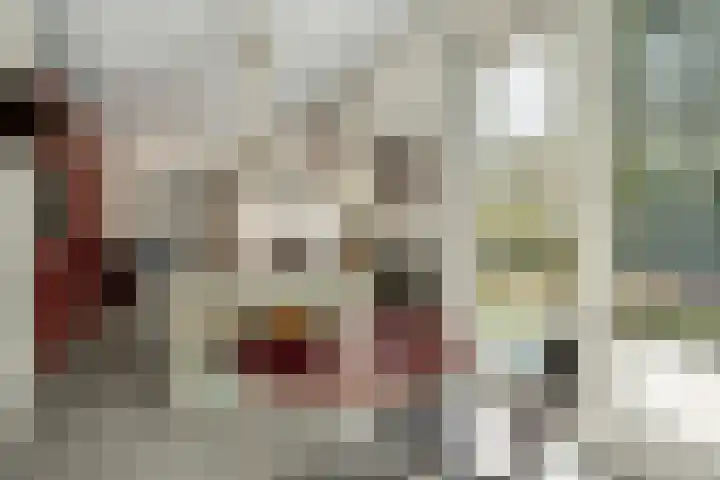 Prins Constantijnlaan 8 't Harde thumbnail 26