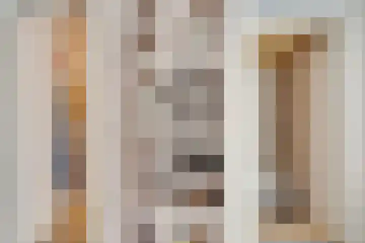 Prins Constantijnlaan 8 't Harde thumbnail 27