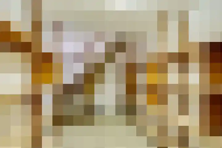 Prins Constantijnlaan 8 't Harde thumbnail 28