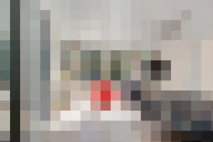 Prins Constantijnlaan 8 't Harde thumbnail 31
