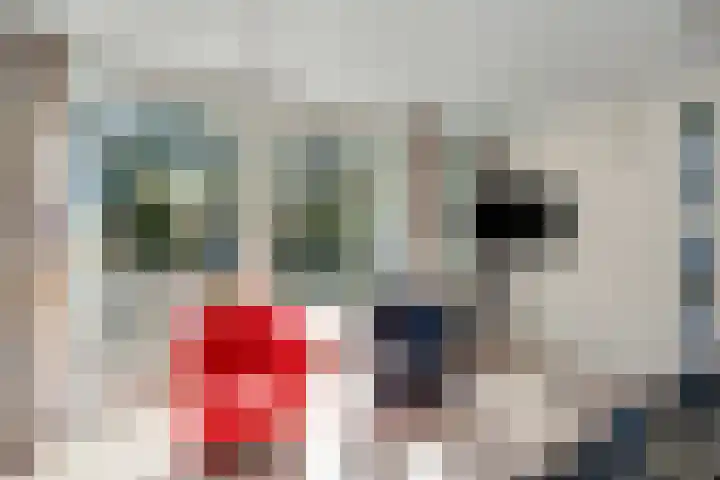 Prins Constantijnlaan 8 't Harde thumbnail 32