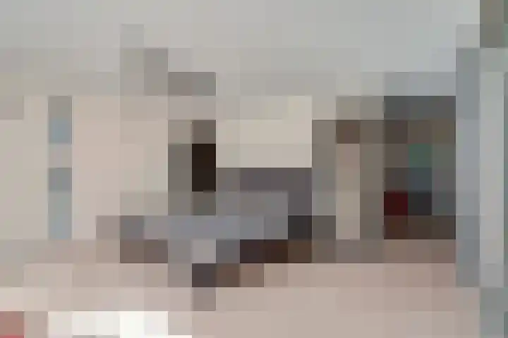Prins Constantijnlaan 8 't Harde thumbnail 34