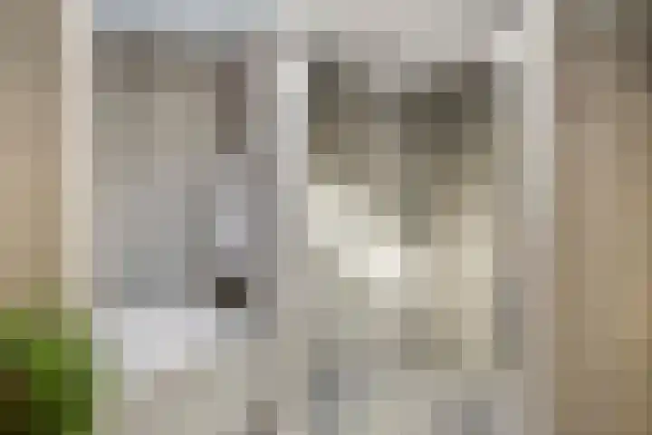 Prins Constantijnlaan 8 't Harde thumbnail 38
