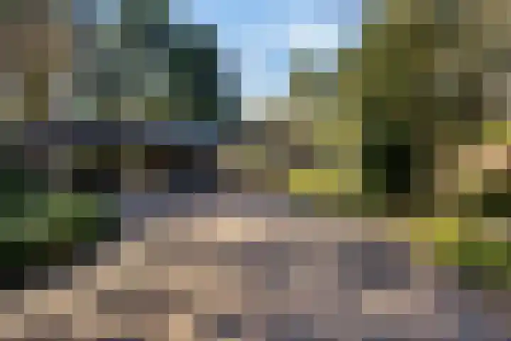 Prins Constantijnlaan 8 't Harde thumbnail 4