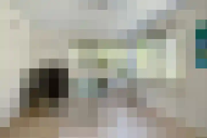 Prins Constantijnlaan 8 't Harde thumbnail 43