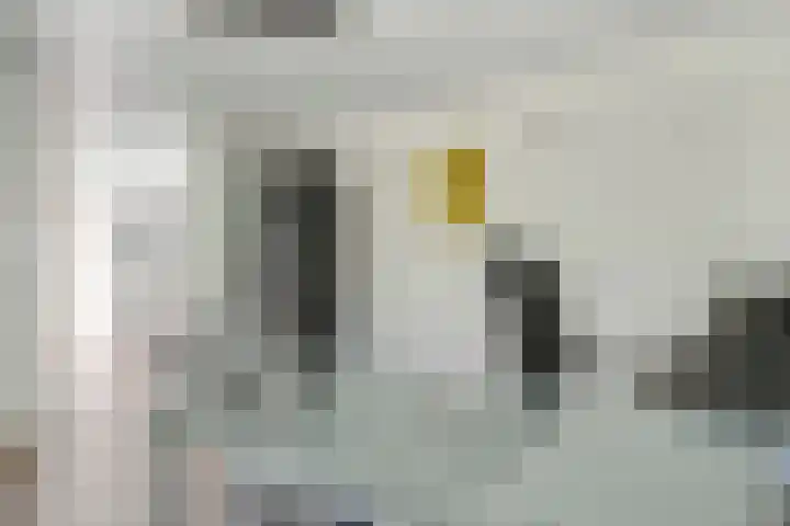 Prins Constantijnlaan 8 't Harde thumbnail 44
