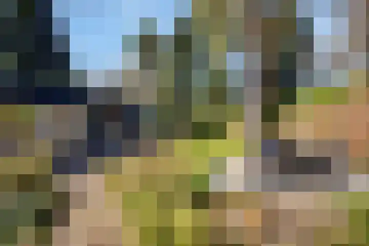 Prins Constantijnlaan 8 't Harde thumbnail 5