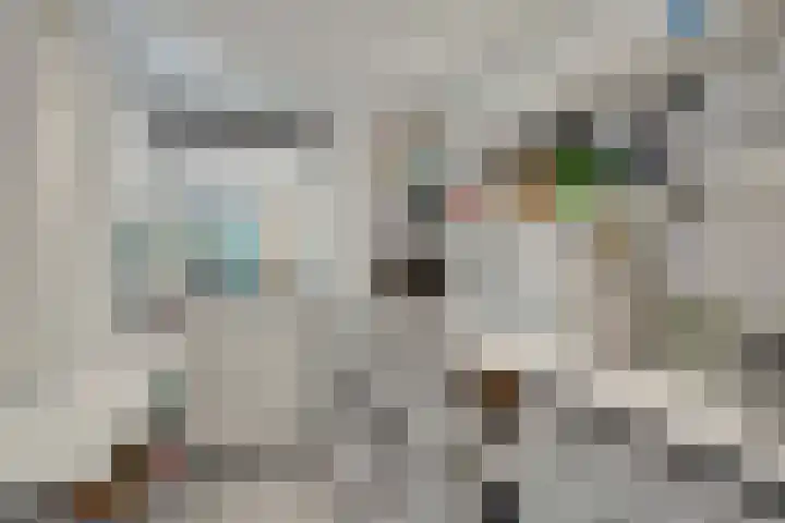 Prins Constantijnlaan 8 't Harde thumbnail 50