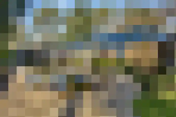 Prins Constantijnlaan 8 't Harde thumbnail 52