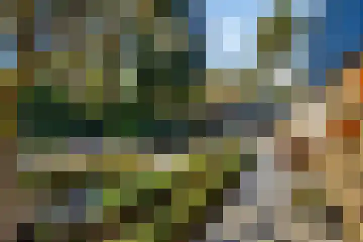 Prins Constantijnlaan 8 't Harde thumbnail 53
