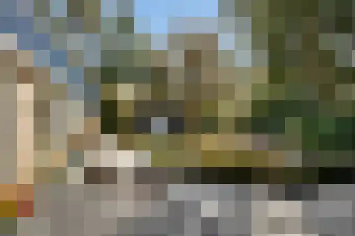 Prins Constantijnlaan 8 't Harde thumbnail 56
