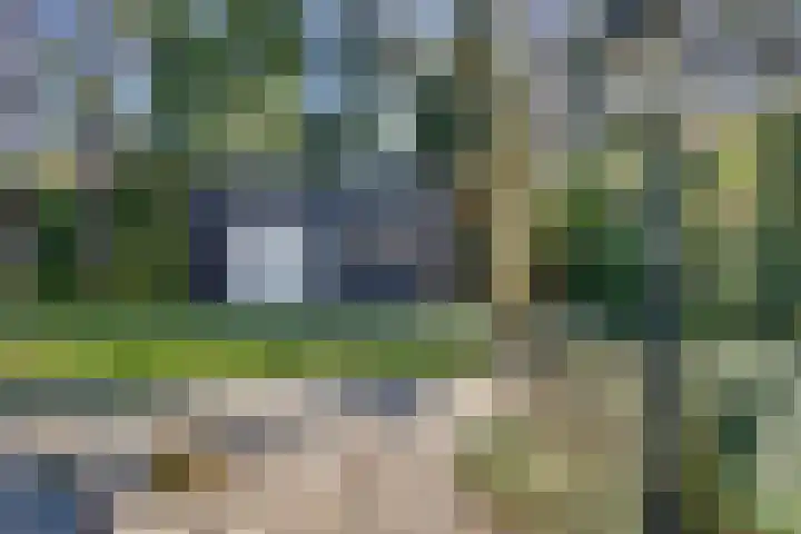 Prins Constantijnlaan 8 't Harde thumbnail 58