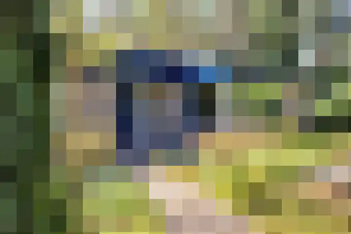 Prins Constantijnlaan 8 't Harde thumbnail 6