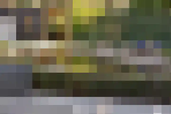 Prins Constantijnlaan 8 't Harde thumbnail 62