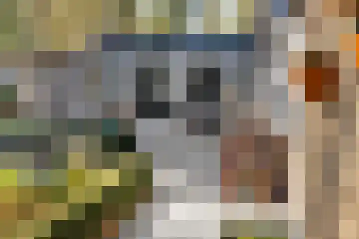 Prins Constantijnlaan 8 't Harde thumbnail 64