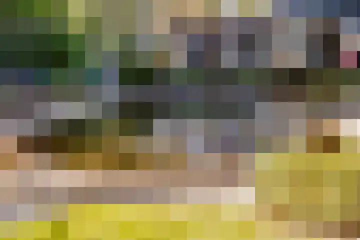 Prins Constantijnlaan 8 't Harde thumbnail 65