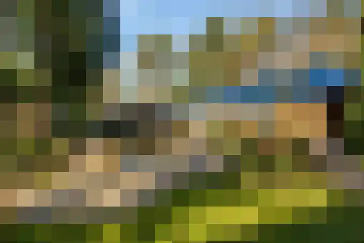 Prins Constantijnlaan 8 't Harde thumbnail 66